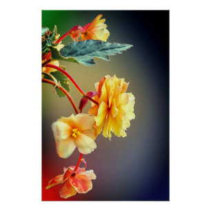Flowers, Yellow flowers, Petals Poster
