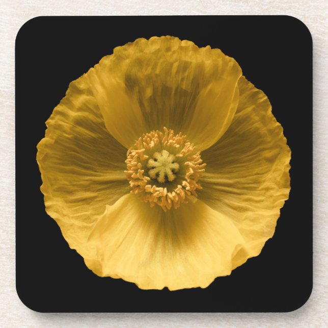 Flowers | Yellow Poppy Coaster (Front)