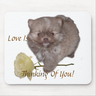 Flowers Zeus Pomeranian  Love Is Thinking Of You!  Mouse Mat