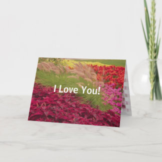 FlowersVeryColorful1, I Love You! Card