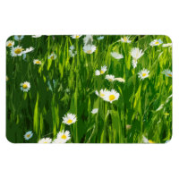 Flowery meadow