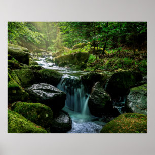Flowing Creek, Green Mossy Rocks, Forest Nature Poster