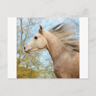 Flowing free postcard