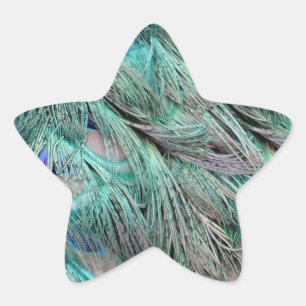 Flowing Green Feathers Hidden Blue Eyes Star Sticker