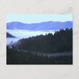 Flowing..... Postcard