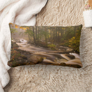 Flowing Streams Appalachian Trail   Vermont Lumbar Cushion