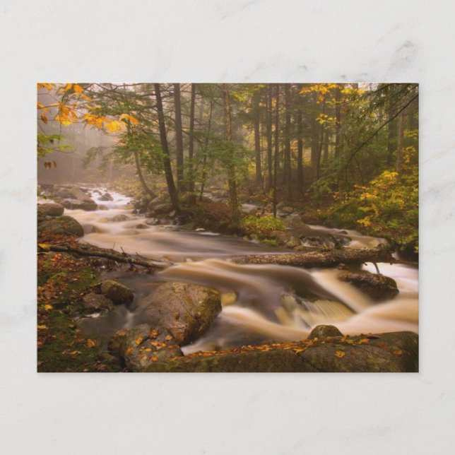 Flowing Streams Appalachian Trail | Vermont Postcard (Front)