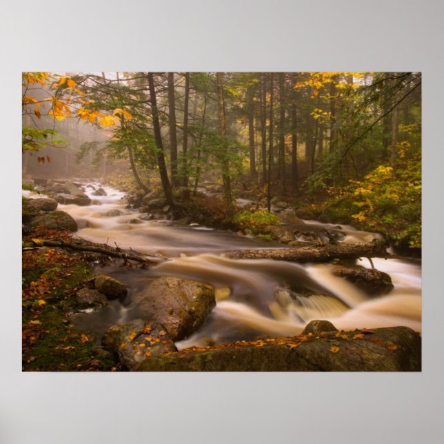 Flowing Streams Appalachian Trail | Vermont Poster (Front)
