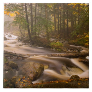 Flowing Streams Appalachian Trail   Vermont Tile