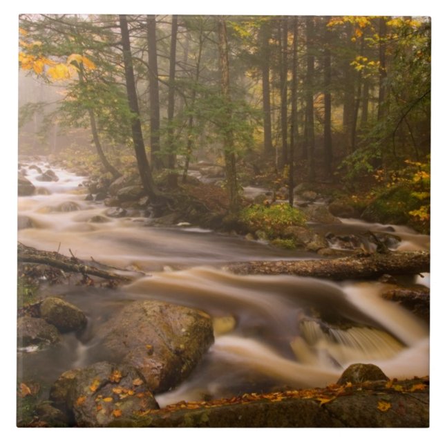 Flowing Streams Appalachian Trail | Vermont Tile (Front)