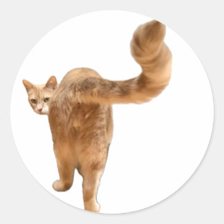 Floyd Butt Sticker - With Face!