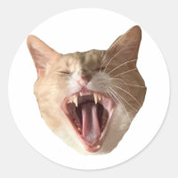 Floyd Sticker - With Mouth Open!