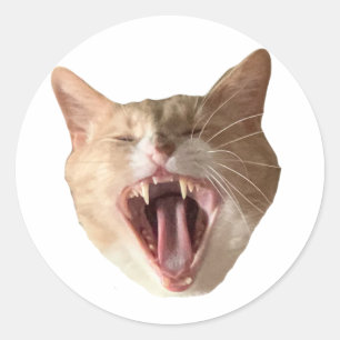 Floyd Sticker - With Mouth Open!