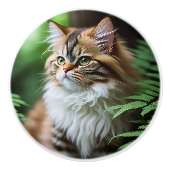"Fluff and Cuddles: The Chubby Persian Cat" Ceramic Knob (Front)