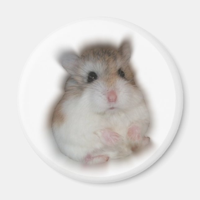 Fluff-ball - Tic Magnet (Front)