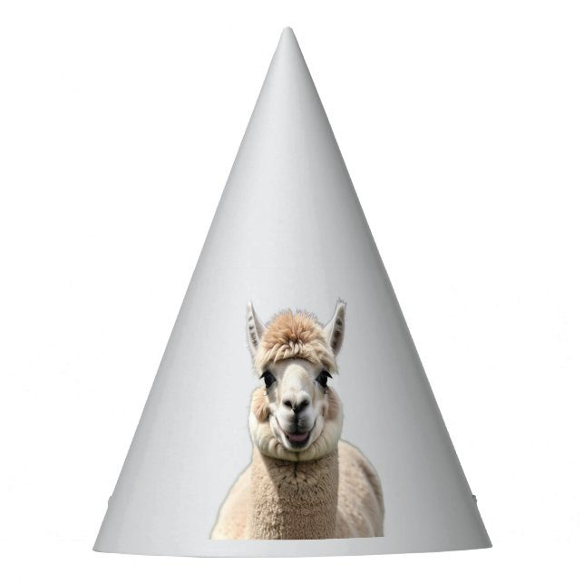 Fluff & Friendship Party Hat (Front)