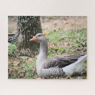 Fluff Jigsaw Puzzle