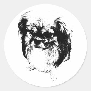 Fluff of Wisdom Classic Round Sticker