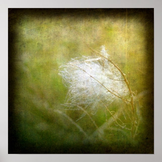 Fluff Poster (Front)