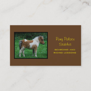 Fluffy Adorable Dartmoor Pony Business Card