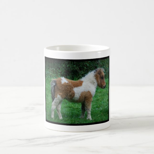 Fluffy Adorable Dartmoor Pony Coffee Mug (Center)