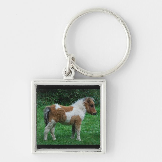 Fluffy Adorable Dartmoor Pony Key Ring (Front)
