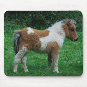 Fluffy Adorable Dartmoor Pony Mouse Mat