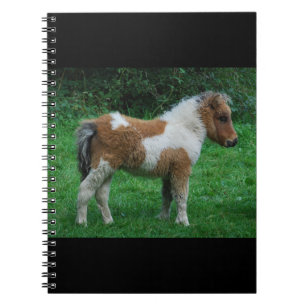 Fluffy Adorable Dartmoor Pony Notebook