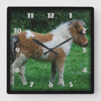 Fluffy Adorable Dartmoor Pony