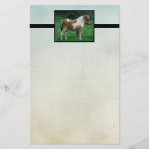Fluffy Adorable Dartmoor Pony Stationery