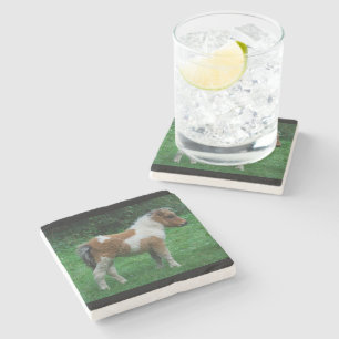 Fluffy Adorable Dartmoor Pony Stone Coaster