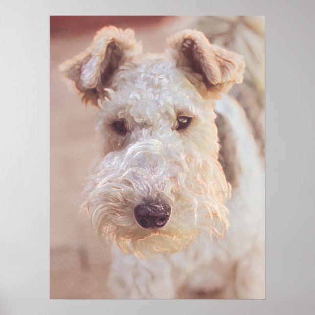 Fluffy Airedale Welsh Terrier Type Dog Puppy Poster (Front)