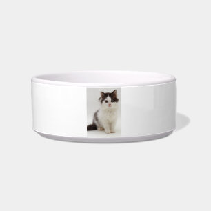 Fluffy Black and White Kitten Cat Pet Bowl