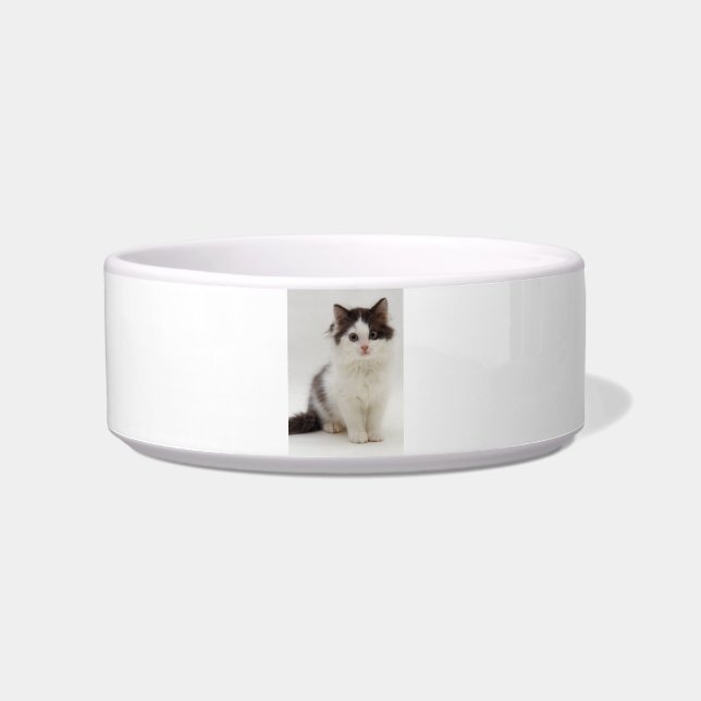 Fluffy Black and White Kitten Cat Pet Bowl (Front)