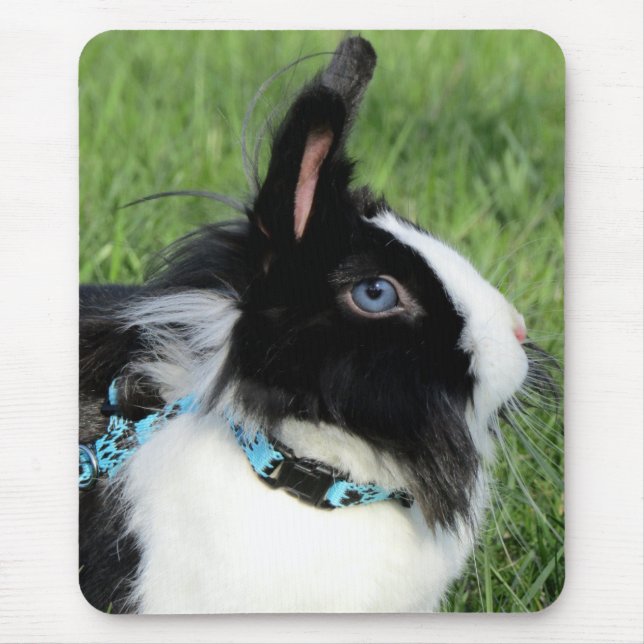 Fluffy Black and White Lionhead Bunny Rabbit Mouse Mat (Front)