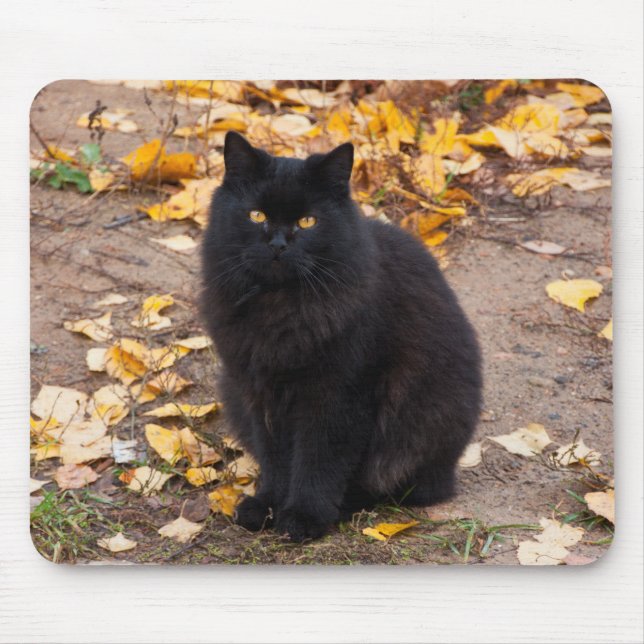 Fluffy Black Kitty and Autumn Leaves Mouse Mat (Front)