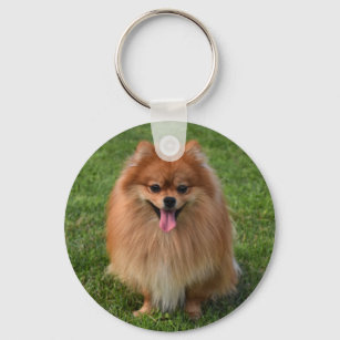 Fluffy Brown Pomeranian Puppy Dog Key Ring