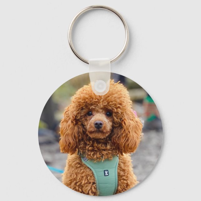 Fluffy Brown Poodle Puppy Dog Key Ring (Front)