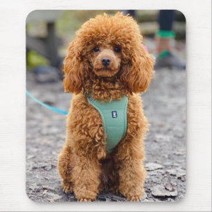 Fluffy Brown Poodle Puppy Dog Mouse Mat