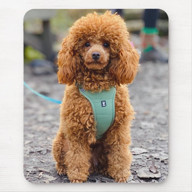 Fluffy Brown Poodle Puppy Dog Mouse Mat (Front)