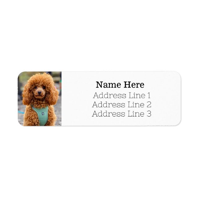 Fluffy Brown Poodle Puppy Dog Return Address (Front)