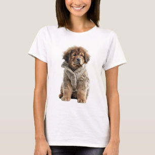 Fluffy Brown Tibetan Mastiff Puppy in a Cosy Beige T-Shirt