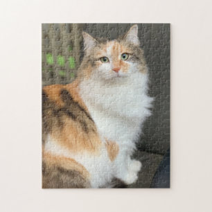 Fluffy Calico Kitty Cat Jigsaw Puzzle
