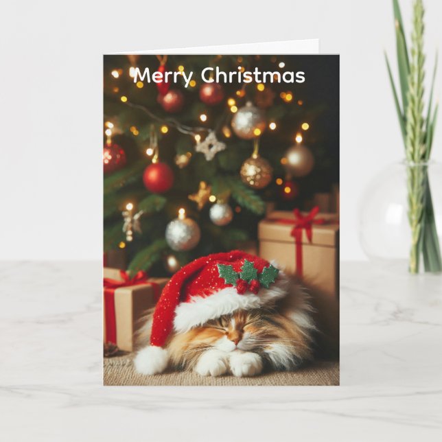 Fluffy cat christmas card (Front)