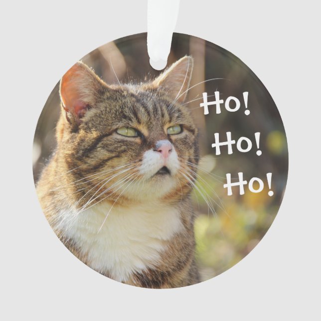 Fluffy Cat Christmas Cute Ornament (Front)