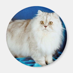 Fluffy Cat Magnet