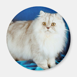 Fluffy Cat Magnet