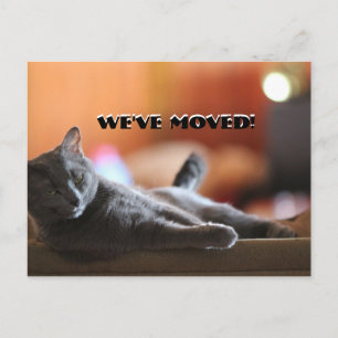 Fluffy cat saying we've have moved new address announcement postcard