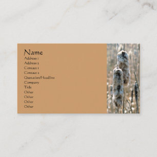 Fluffy Cattails Nature Photography Business Card
