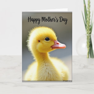 Fluffy Chick Mothers Day Card